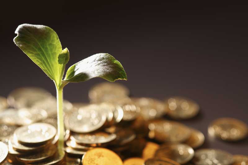 An image of a green plant growing out of a pile of golden coins.