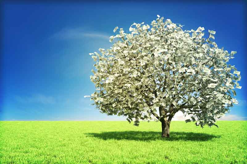 A tree grows leaves of money in an expansive grass field.