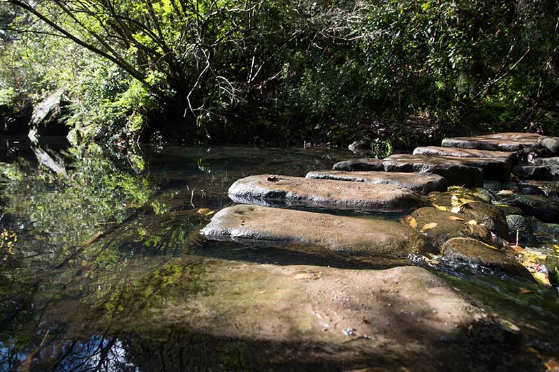 A pathway made of flat stepping stones crosses a brook
